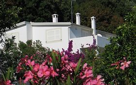 Villa Giulia - Apartment In Villa With Sea View